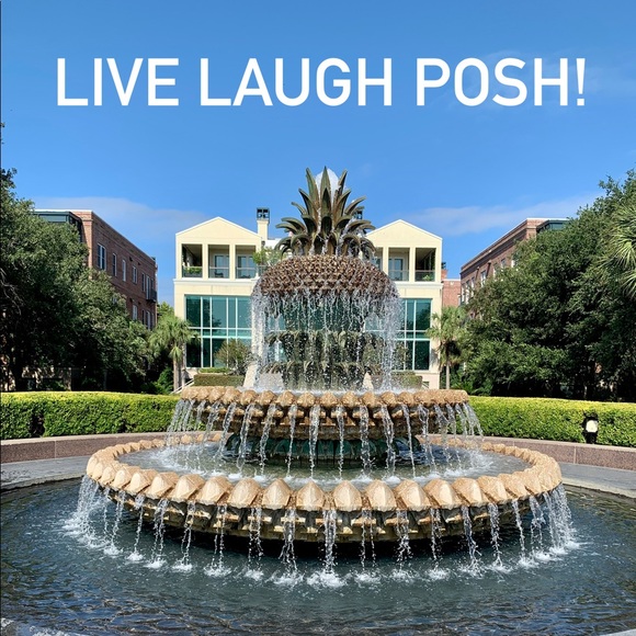 Other - FOLLOW me to 500k! 🌺 🦋